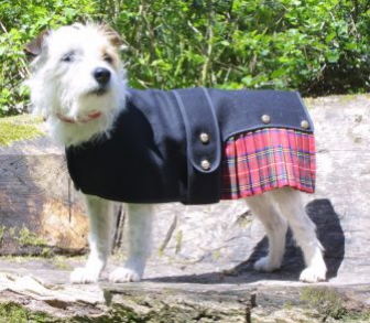 Dog 2024 kilt outfit